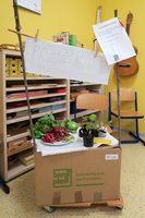 Tag der offenen Tür lud zum Entdecken ein Tag der offenen Tür lud zum Entdecken ein