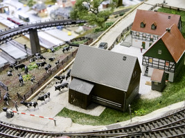 Kleine Welt ganz groß Kleine Welt ganz groß