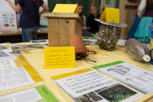 Unsere Wildblumenwiese Unsere Wildblumenwiese