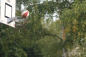 Der Sporttag - Der Vielfalt gerecht zu werden Der Sporttag - Der Vielfalt gerecht zu werden