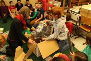 Neuzugang in der Klasse Holunder