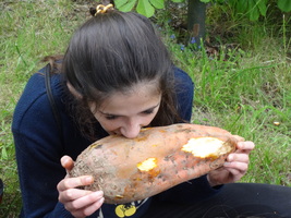 Klassenfahrt Eberesche Klassenfahrt Eberesche