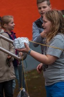 Eier im freien Fall Eier im freien Fall