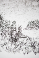 Wilde Locken – Bunte Stühle. Eine Schule macht Kunst Wilde Locken – Bunte Stühle. Eine Schule macht Kunst