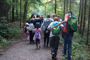 Hütten bauen im Zeisigwald Hütten bauen im Zeisigwald
