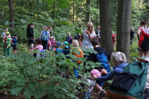 Hütten bauen im Zeisigwald Hütten bauen im Zeisigwald