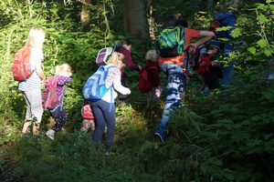 Hütten bauen im Zeisigwald Hütten bauen im Zeisigwald