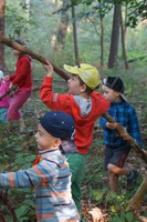 Hütten bauen im Zeisigwald Hütten bauen im Zeisigwald