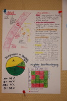Projektwoche in der Lärche Thema „Der Mensch“ Projektwoche in der Lärche Thema „Der Mensch“