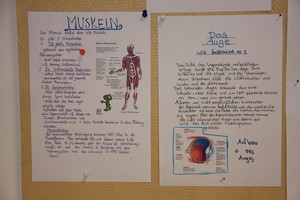 Projektwoche in der Lärche Thema „Der Mensch“ Projektwoche in der Lärche Thema „Der Mensch“