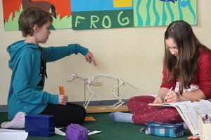 Ladybird ist kein adliger Vogel Ladybird ist kein adliger Vogel