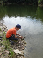 „Die Natur ist das weiseste Buch, mit schönen Lehren auf jedem Blatt.“ „Die Natur ist das weiseste Buch, mit schönen Lehren auf jedem Blatt.“