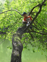 „Die Natur ist das weiseste Buch, mit schönen Lehren auf jedem Blatt.“ „Die Natur ist das weiseste Buch, mit schönen Lehren auf jedem Blatt.“