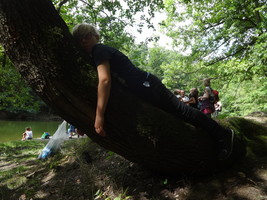 „Die Natur ist das weiseste Buch, mit schönen Lehren auf jedem Blatt.“ „Die Natur ist das weiseste Buch, mit schönen Lehren auf jedem Blatt.“