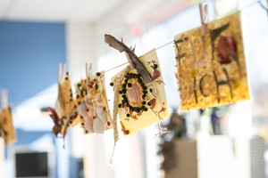 Naturkunst Naturkunst