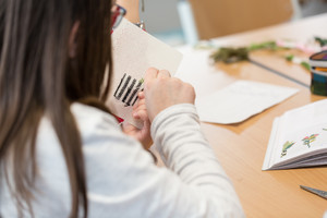 Endlich wieder Kunstprojektwoche Endlich wieder Kunstprojektwoche