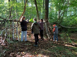 Waldtag für die Lärche