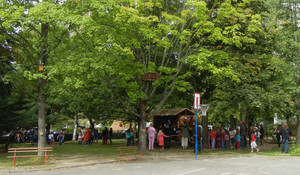 Baumhaus an Kinder übergeben Baumhaus an Kinder übergeben