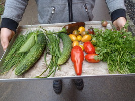 Feuer in der Grundschule Feuer in der Grundschule