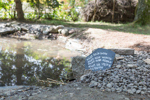 Unsere Wildblumenwiese Unsere Wildblumenwiese