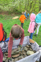 Unsere Wildblumenwiese Unsere Wildblumenwiese