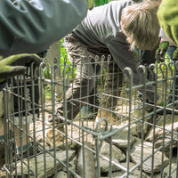 Unsere Wildblumenwiese Unsere Wildblumenwiese