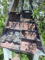 Unsere Wildblumenwiese Unsere Wildblumenwiese