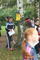 Der Sporttag - Der Vielfalt gerecht zu werden Der Sporttag - Der Vielfalt gerecht zu werden