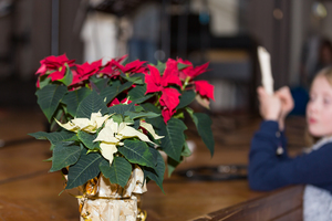 Unser diesjähriges Weihnachtskonzert... Unser diesjähriges Weihnachtskonzert...