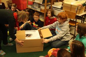 Neuzugang in der Klasse Holunder