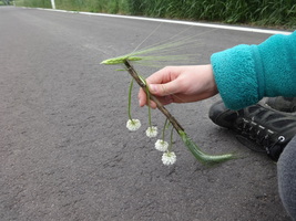 Klassenfahrt Eberesche Klassenfahrt Eberesche