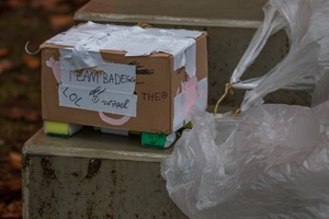 Eier im freien Fall Eier im freien Fall