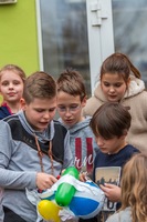 Eier im freien Fall Eier im freien Fall