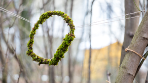 Wilde Locken – Bunte Stühle. Eine Schule macht Kunst Wilde Locken – Bunte Stühle. Eine Schule macht Kunst