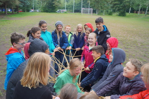 Sind alle Limetten gleich? Sind alle Limetten gleich?