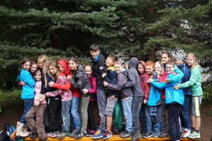 Sind alle Limetten gleich? Sind alle Limetten gleich?