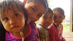 Spendenaktion ... Spendenaktion ...