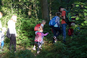 Hütten bauen im Zeisigwald Hütten bauen im Zeisigwald
