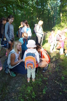 Hütten bauen im Zeisigwald Hütten bauen im Zeisigwald