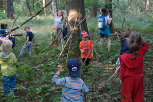 Hütten bauen im Zeisigwald Hütten bauen im Zeisigwald