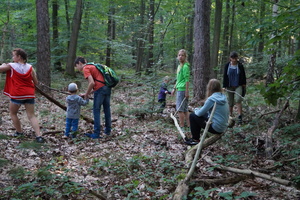 Hütten bauen im Zeisigwald Hütten bauen im Zeisigwald
