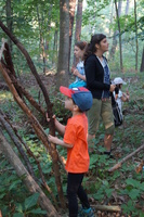 Hütten bauen im Zeisigwald Hütten bauen im Zeisigwald