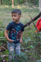 Hütten bauen im Zeisigwald Hütten bauen im Zeisigwald