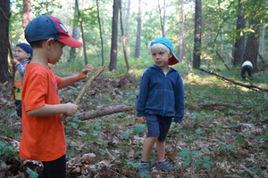 Hütten bauen im Zeisigwald Hütten bauen im Zeisigwald