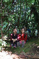 Hütten bauen im Zeisigwald Hütten bauen im Zeisigwald