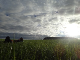 Wanderung vom Fichtelberg zur Schule Wanderung vom Fichtelberg zur Schule