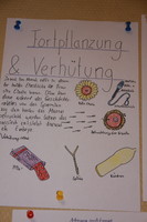 Projektwoche in der Lärche Thema „Der Mensch“ Projektwoche in der Lärche Thema „Der Mensch“