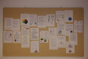 Projektwoche in der Lärche Thema „Der Mensch“ Projektwoche in der Lärche Thema „Der Mensch“