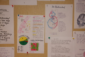 Projektwoche in der Lärche Thema „Der Mensch“ Projektwoche in der Lärche Thema „Der Mensch“