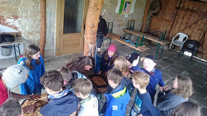 Inklusive Klassenfahrt Inklusive Klassenfahrt